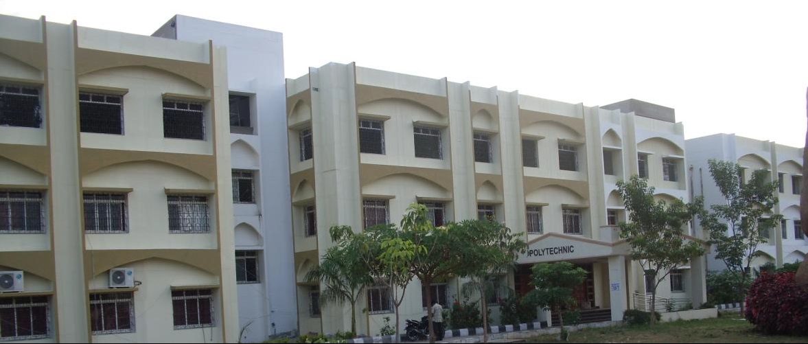 sciences